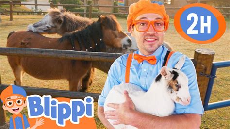 blippi|blippi animals.